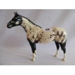 Beswick Appaloosa stallion