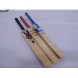 Signed cricket bats - Leics c2000 (3)