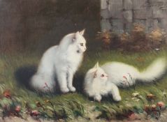 Tiermaler des 20. Jh. "Paar weiße Katzen" in einem Garten ruhend, in der Art von Arthur Hayer, oben