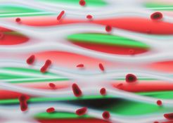 Mantz, Gerhard geb. 1950 in Neu-Ulm, zeitgenössicher Künstler, Stud. an der Kunstakad. Karlsruhe. 