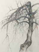 Maler des 20. Jh. "Weide im Winter", naturalistische Darstellung eines alten Baumes mit gebrochenem