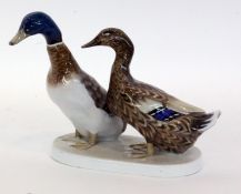 A PAIR OF DUCKS Rosenthal, Selb 20th century Colourfully decorated pair of ducks on oval