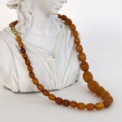 AN AMBER NECKLACE, gradient. Diameter 7-13 mm, 44.5 cm long, gross weight approximately 20
