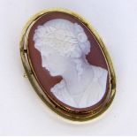 A PENDANT / BROOCH 585/000 yellow gold with cameo. Approximately 45 x 30 mm, gross weight