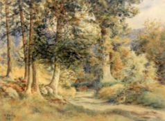 LANG, E. 1950 Waldinneres. Aquarell, signiert und datiert: 1950. 42x56cm LANG, E. 1950 Forest