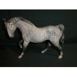 A Beswick Horse, right leg up in unusual Dapple Grey type colourway, 23cm long