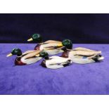Beswick pottery, a graduated set of four Mallard, approved by Peter Scott, number 1518