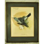 David Ord Kerr (b1951) watercolour on paper 'Cuculus Canorus - Cuckoo' signed lower middle and dates
