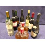 Nine mixed bottles of French red, white and rose table wines