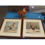 A large Naturecraft model leghorn cockerel and a pair of framed cock fighting prints, The Champion