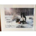 Steven Townsend, a signed limited edition print, 116/650 Early Light