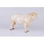 A John Beswick Charolais bull 15.5cm H boxed