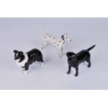 Three Beswick dogs including a Dalmation, a Labrador and a Border Collie