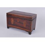 A George III mahogany twin compatrment tea caddy with chevron stringing and bird paterae on