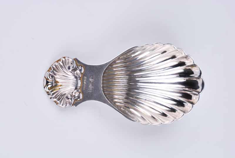 A modern rococo silver caddy spoon with scrolling shell device to the handle and shell shaped