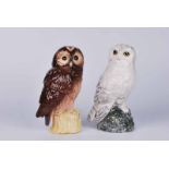 Two Royal Doulton Whyte & Mackay 'Snowy Owl' & Tawny Owl