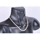 A single string graduated pearl necklace with silver and marcasite clasp 43.5 cm L
