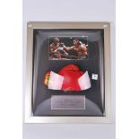 Photograph of Joe Calzaghe with framed signed glove. 62cm x 52cm