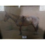 C. Joane Bastard (20th century) pastel study of a stallion, signed lower right and dated 1931, 33.