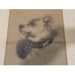 A Victorian Charcoal and graphite portrait of a dog, initialled FWH and dated 1880 lower right