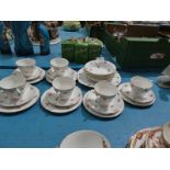 A Mayfair rosebud 23 piece tea set.