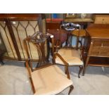 A pair of Edwardian mahogany carver chairs