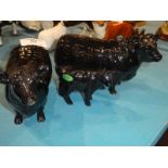 A Beswick family of Aberdeen Angus cattle