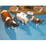 A Beswick Ayrshire cow and calf and Charolais calf