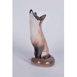 Royal Copenhagen large porcelain model of a seated fox looking up, model number 437 26cm Height