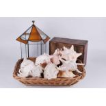 Cased Robins, a small glass terrerium plus a selection of large sea shells in wicker basket