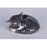 Royal Copenhagen porcelain model of a sleeping cat curled up, model number 422, 8cm H