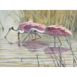 AL BARNES (American/Texas 1937-2015) A PAINTING, "Wading Roseate Spoonbills," watercolor on paper,