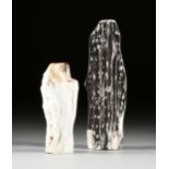 A GROUP OF TWO PREHISTORIC PETRIFIED WOOD FOSSIL SPECIMENS, APPROXIMATELY 200 MILLION YEARS OLD,