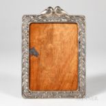 Castillo Silver Frame