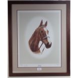 J Gadd - limited edition print of race horse Aldaniti (Grand National Winner) from Henrietta Knight,