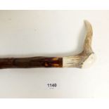 A hawthorn horn handled walking stick