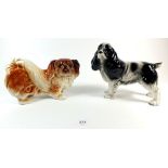 Two Melba dogs - a Pekinese and a Spaniel