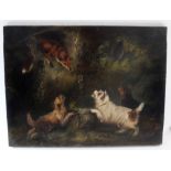 George Armfield - oil on canvas - terriers and a fox - signed, 30 x 40cm