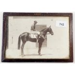 A framed early 20th century photograph of a jockey mounted, 'Paddy' 15 x 21cm