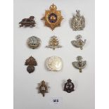 A selection of military cap badges