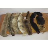 Six various fur collars, three fur hats etc