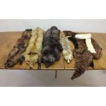 Four fox furs, assorted fur collars and a fur muff