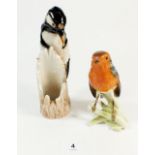 A Goebels woodpecker and robin