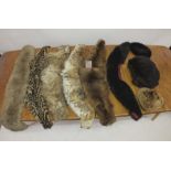 Four fox furs, assorted fur collars, three fur hats and a fur muff