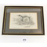 A Victorian small print "Dalmatian or Coach Dog" - 9 x 14cm