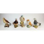 Five Beswick model birds comprising: two pigeons, kestrel, thrush and owl