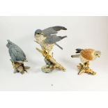 Three Country Artists birds of prey models