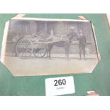Postcards - in album including RP's of horse/cart and milkman G Jukes Dairy Abertillery, RP