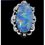 A 14 carat white gold oval opal and diamond cluster ring, size P/Q