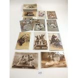 Postcards: Dogs, accumulations with artists including Kennedy (5), Maud Watson, Mac, Florence